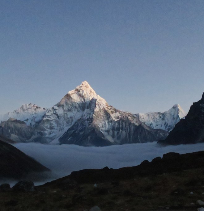 41546434-068d-42f5-aa68-874cfd033a06