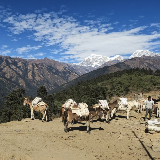 6bc39ba3-c39a-4620-b9be-33abc03380df