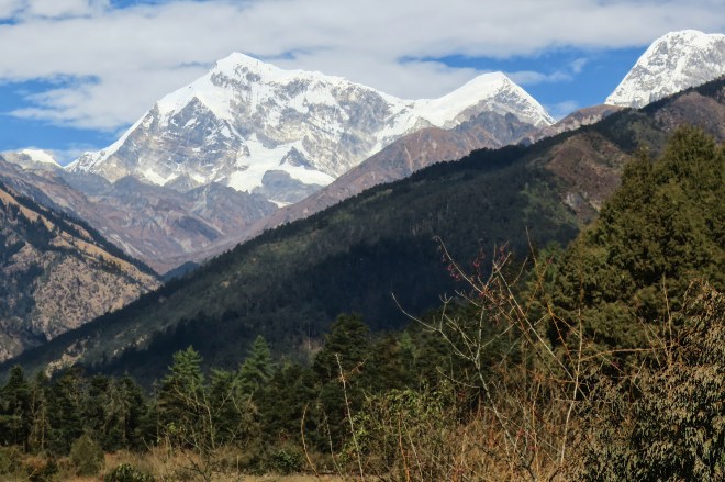 8726a0a2-bc35-4f0e-9e59-ee17b2922aac