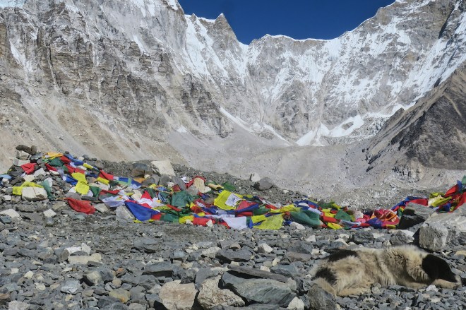 988bc21e-3d99-414c-b800-0f82089ec4f9